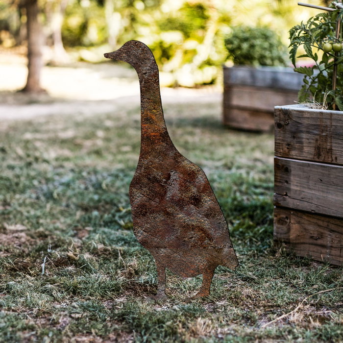 Aberto Design Goose -A 04 Multicolor
